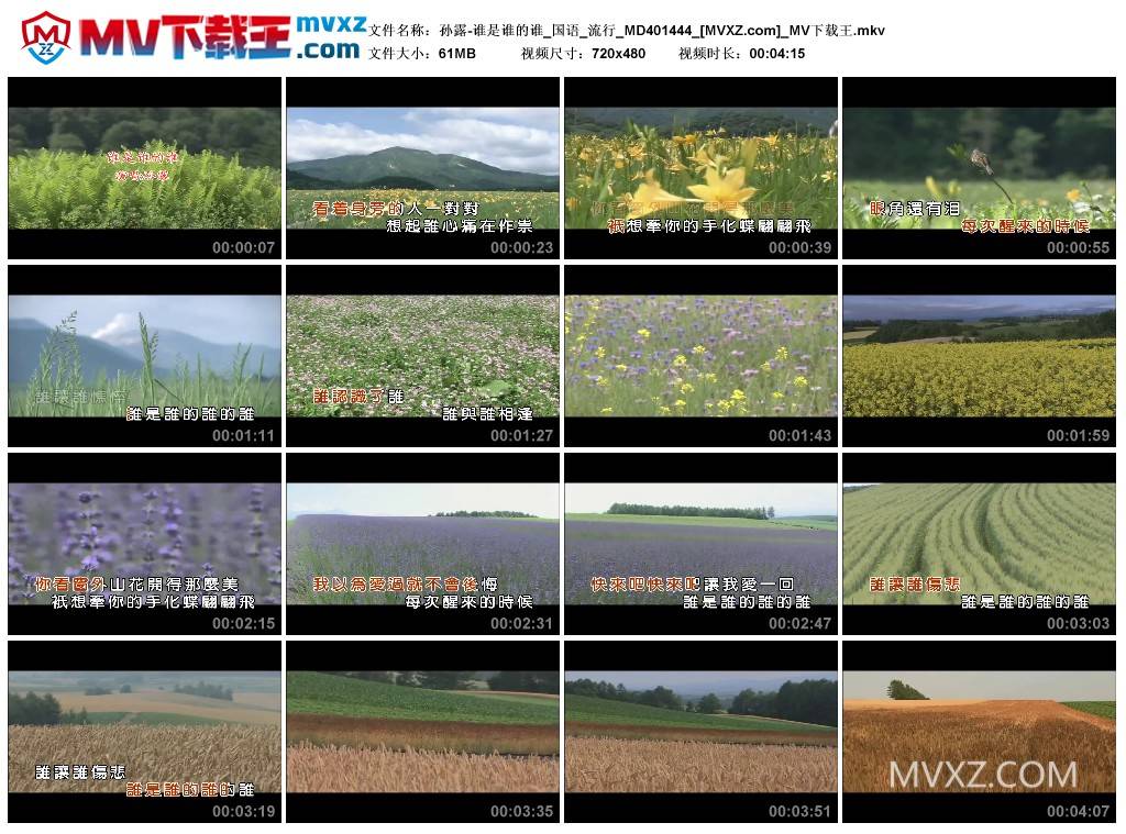 孙露-谁是谁的谁_国语_流行_MD401444